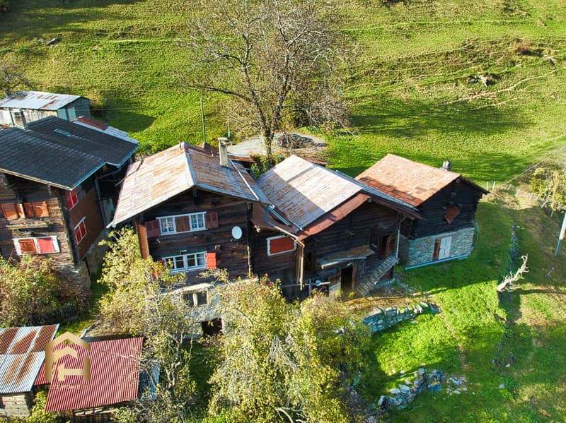 Incantevole tenuta con diverse pertinenze per una progettazione individuale (1)