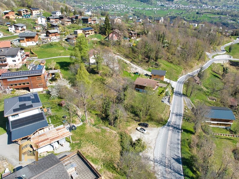 DJI_0600