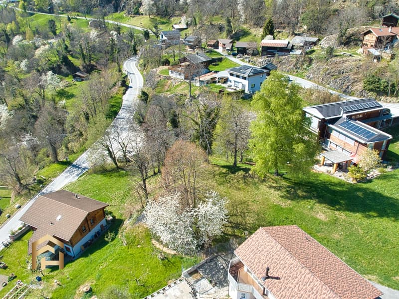 DJI_0596