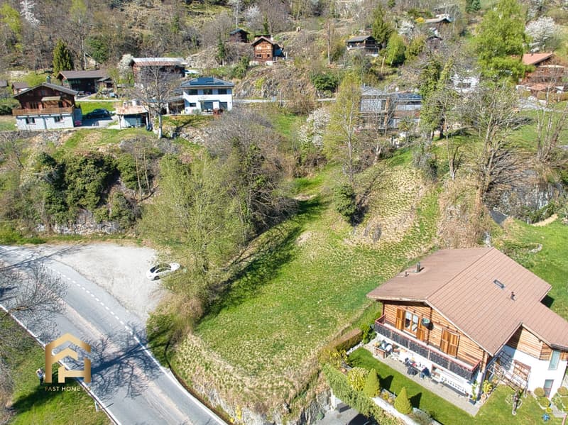 DJI_0595