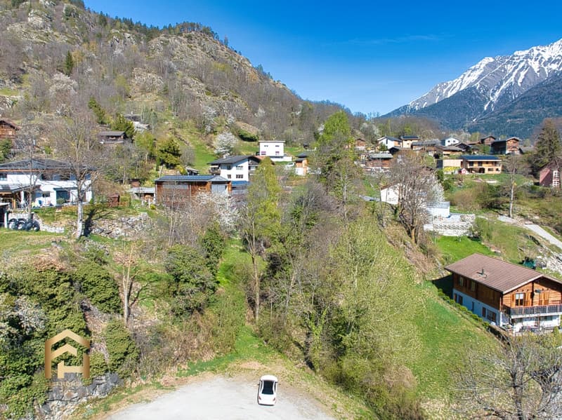 DJI_0593
