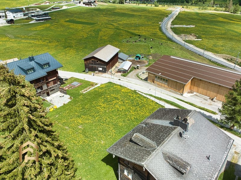 DJI_0711