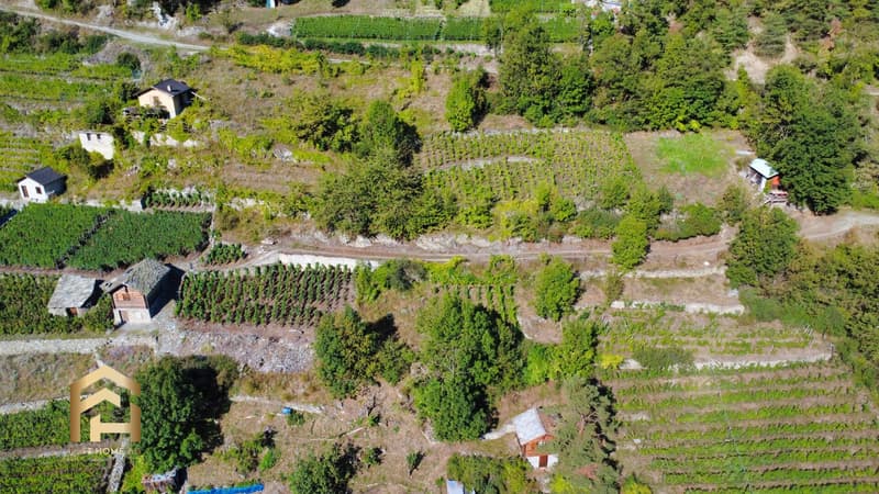 DJI_0059