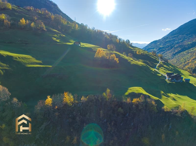 DJI_0314