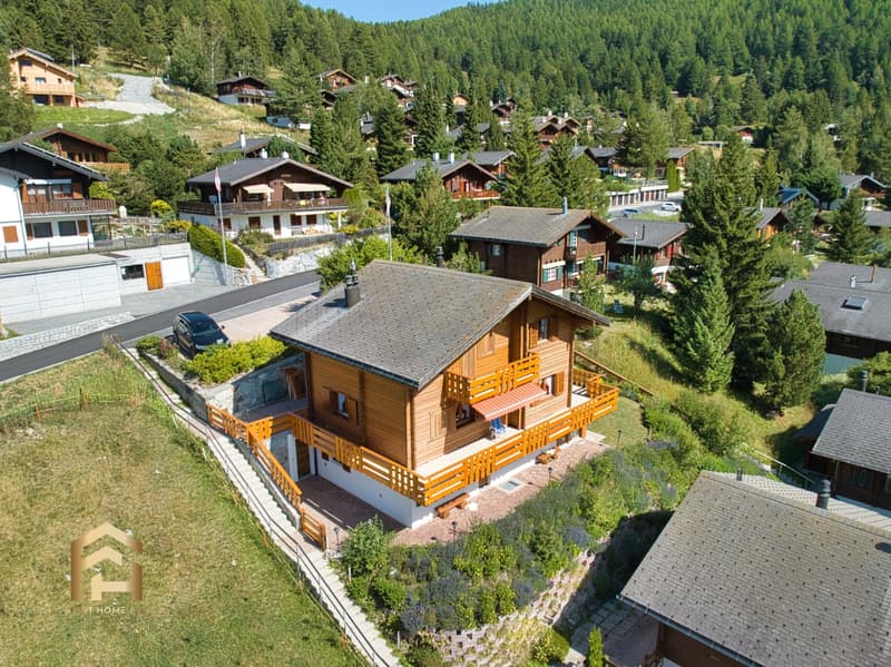 Elegant chalet with two independent apartments and a magnificent view (1)