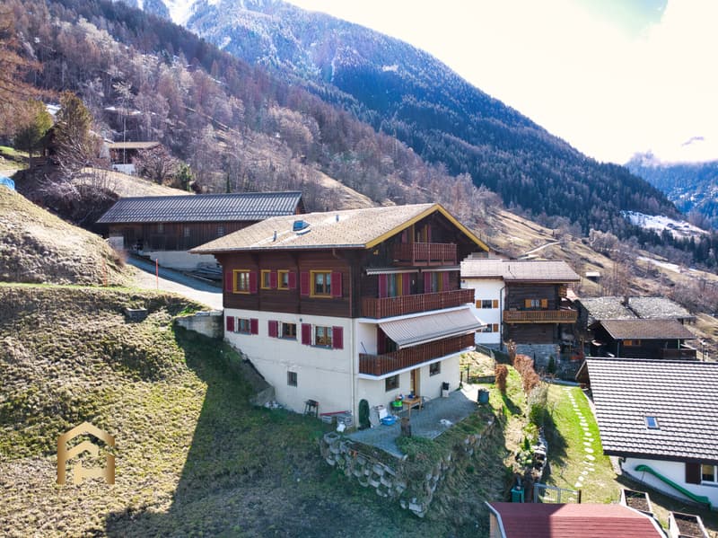Wohnen mit Aussicht Sonnige 4.5 ZWG Wohnung im idyllischen Ergisch (10)
