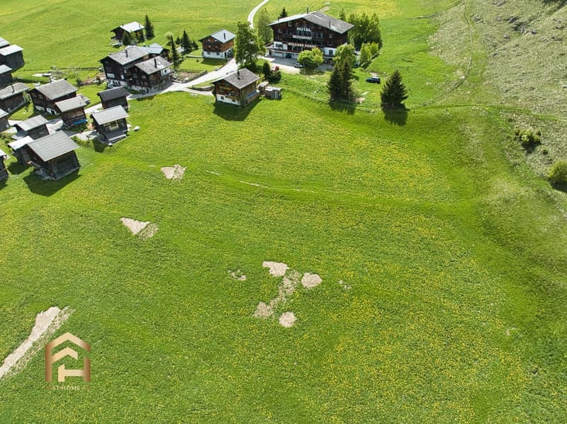 DJI_0729