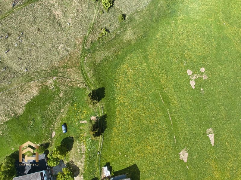 DJI_0726