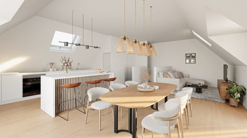 New promotion - Project of 4 apartments in Nyon (8)