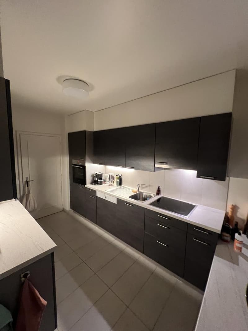 For rent, bright 5.5-room duplex apartment in Pully (9)