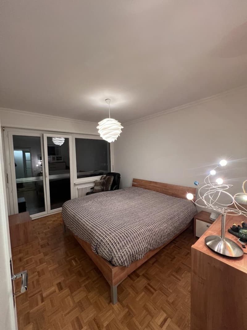 For rent, bright 5.5-room duplex apartment in Pully (3)