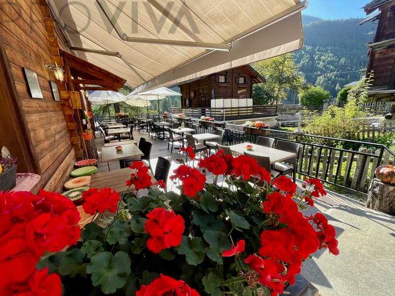 Mountain gastronomy, where authenticity serves as a backdrop (3)