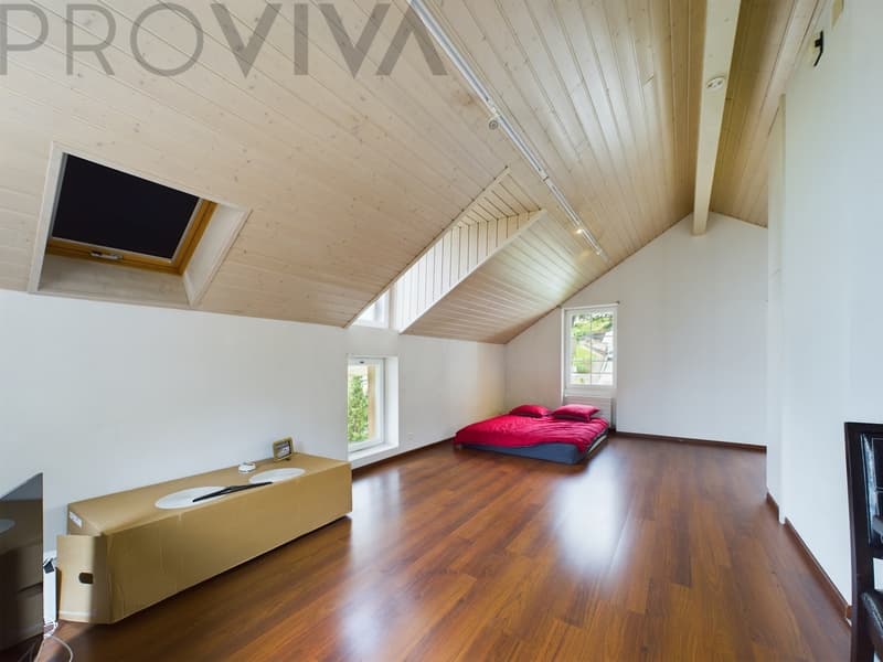 Lake View, Castle Proximity, Investment with a Future. (3)