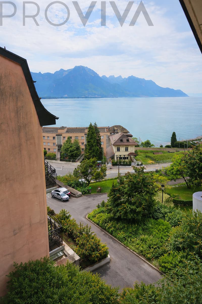 Lake View, Castle Proximity, Investment with a Future. (2)