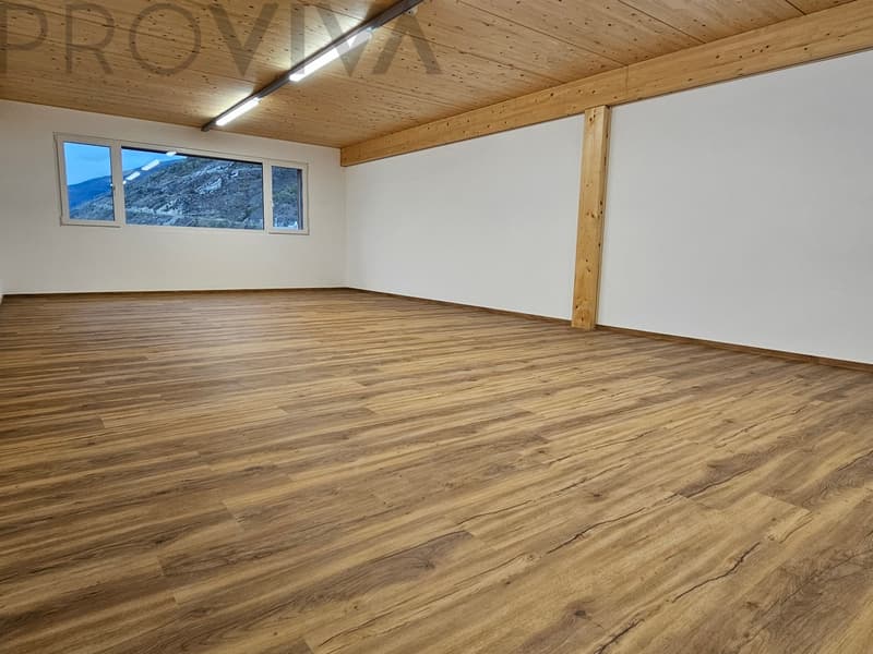 Divers espaces - prêts à être occupés - entrepôt, bureau, hobby - salle de séminaire (4)