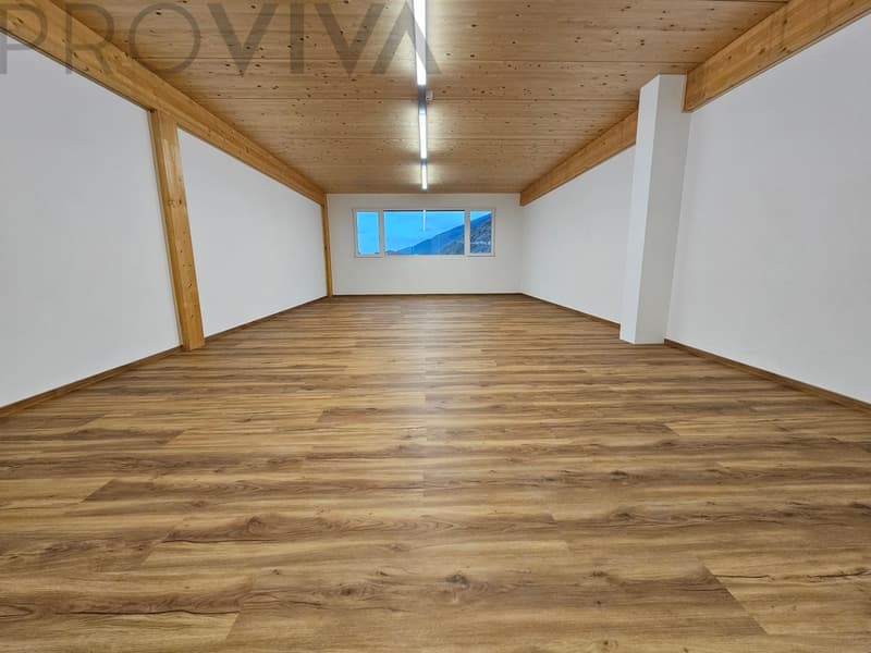 Divers espaces - prêts à être occupés - entrepôt, bureau, hobby - salle de séminaire (4)