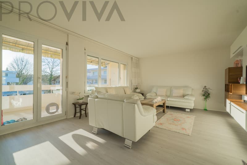 Maison lumineuse dans un quartier résidentiel calme près de Solothurn (2)