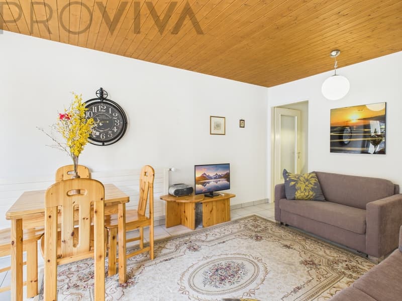 Fully furnished 2.5-room apartment with rental potential! (7)
