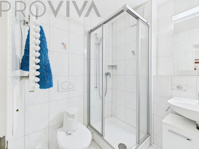 Fully furnished 2.5-room apartment with rental potential! (6)