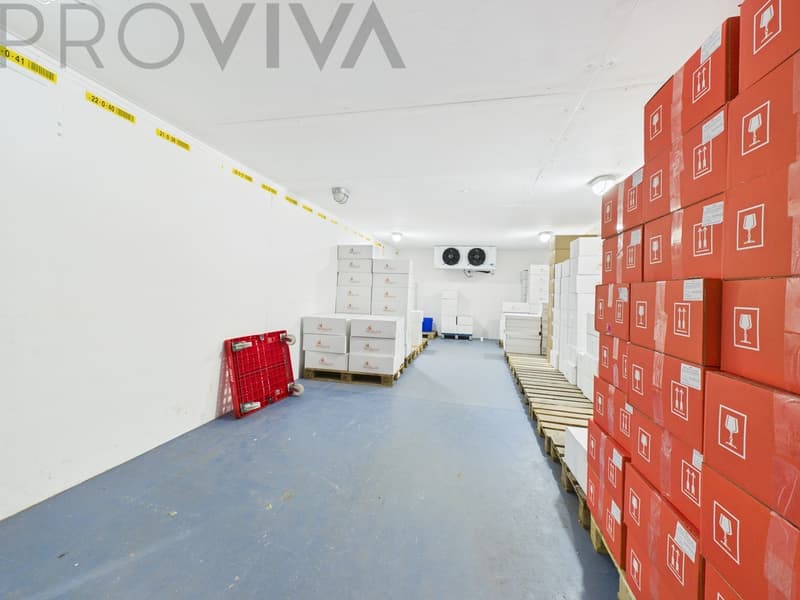 Halle, Mietwohnung & Unternehmen - Komplettpaket (5)