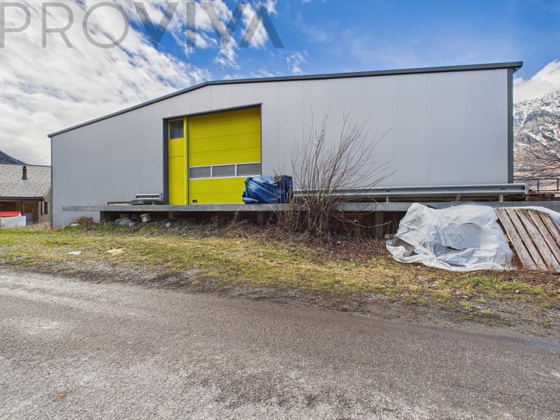 Halle, Mietwohnung & Unternehmen - Komplettpaket (3)