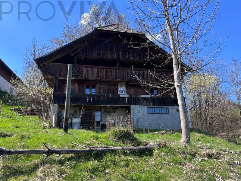 Abbruchhaus mit bewilligtem Bauprojekt zu verkaufen (3)