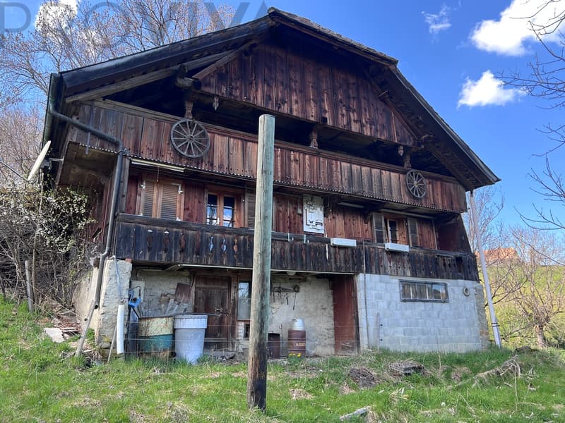 Abbruchhaus mit bewilligtem Bauprojekt zu verkaufen (4)