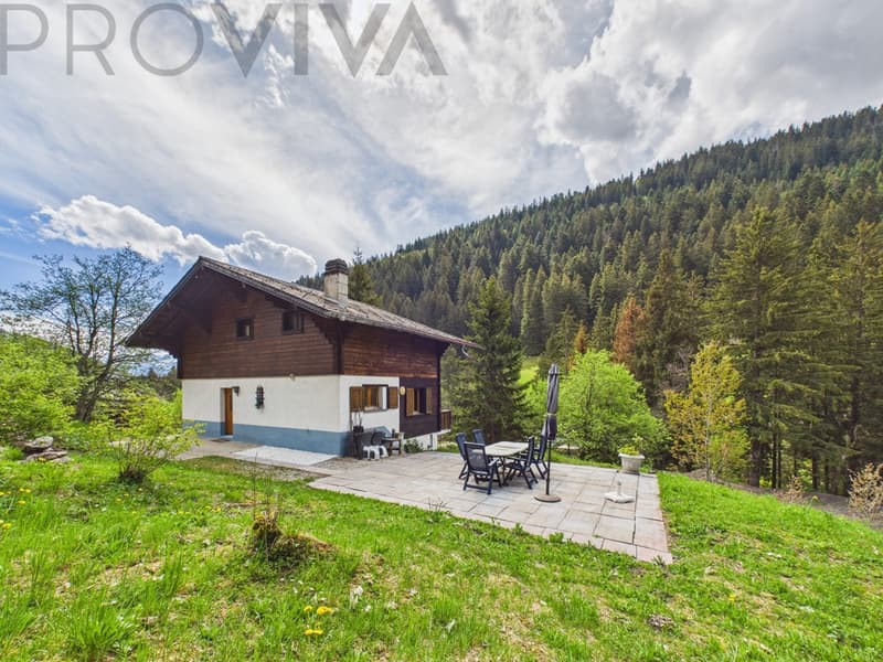 Alpine residential happiness - Chalet with wellness oasis and mountain view (3)