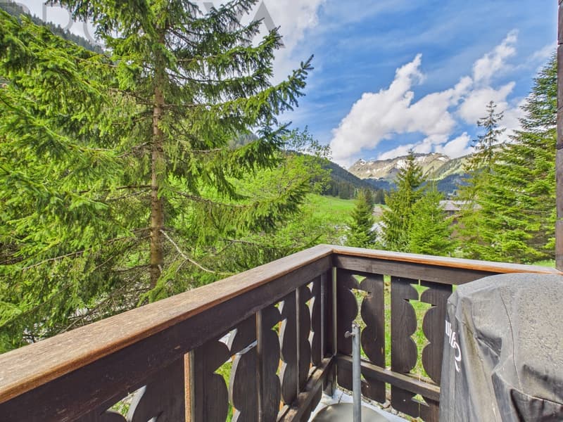 Alpine residential happiness - Chalet with wellness oasis and mountain view (4)