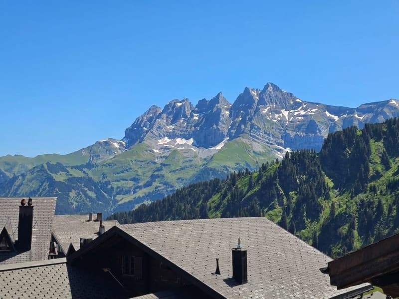 Ski-in/Ski-out-Chalet mit atemberaubendem Blick auf die Dents du Midi (2)