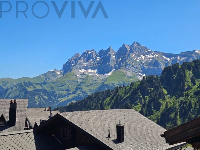 Ski-in/Ski-out Chalet with breathtaking views of the Dents du Midi (6)