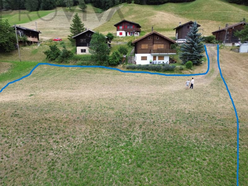 2'769 m² building land in the heart of Goms (2)