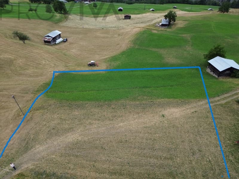 2'769 m² building land in the heart of Goms (3)