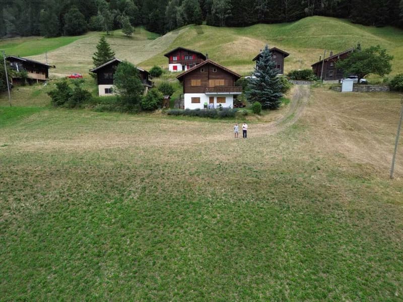 2'769 m² building land in the heart of Goms (5)