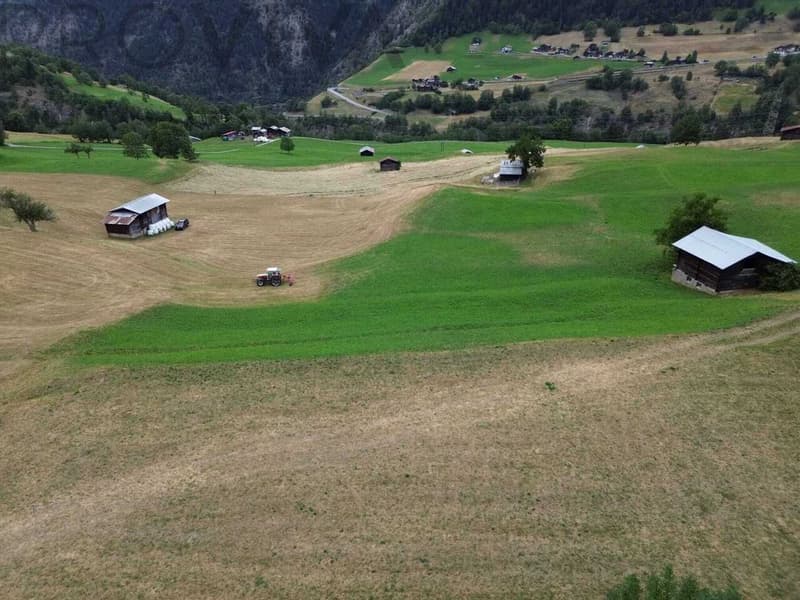 2'769 m² building land in the heart of Goms (4)