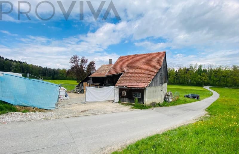 Ferme transformé - prix attractif (1)