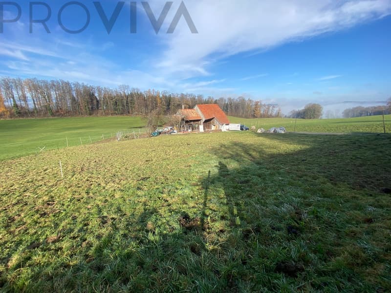 2600 m2 Grundstück renovationsbedürftiges Haus mit Potential (2)