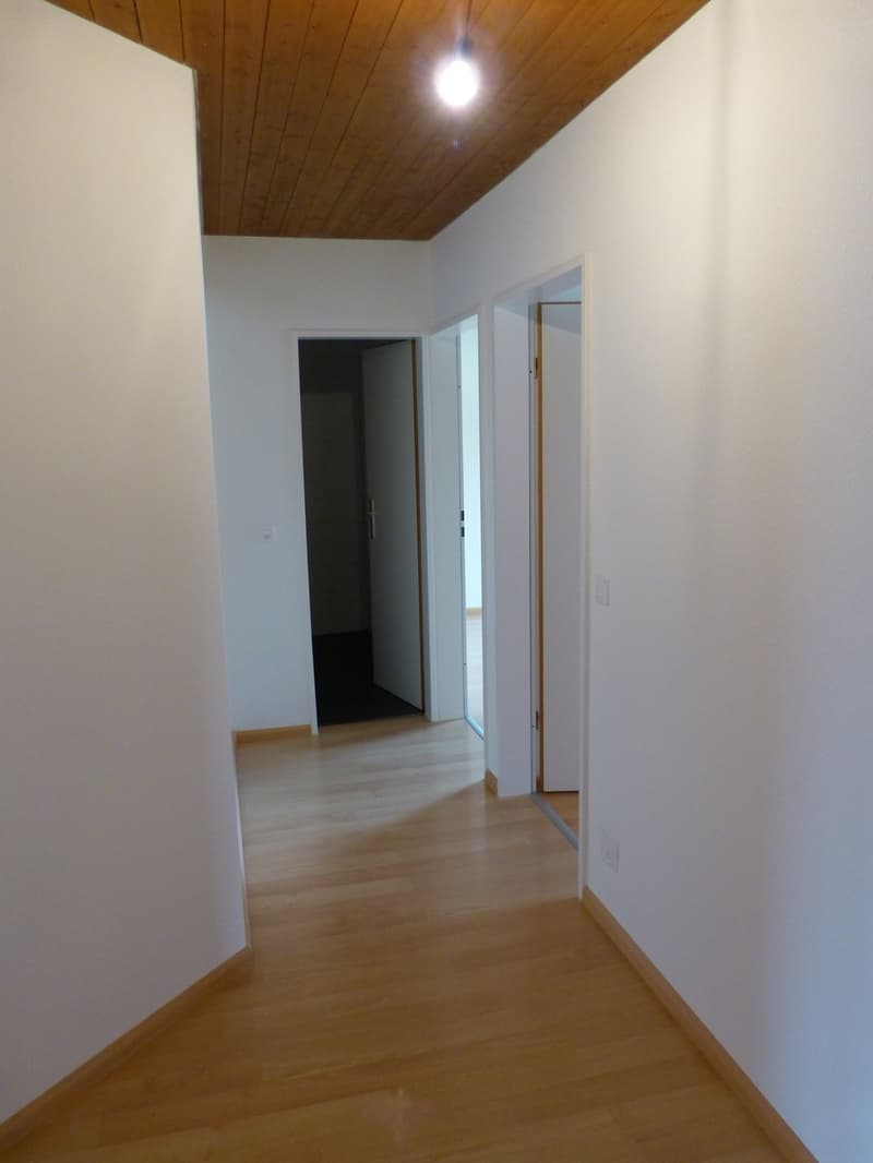 Zentral, Gartensitzplatz zur Mitbenützung (6)