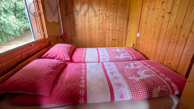 Privat, sonnig, gemütlich - Ihr Erholungsparadies (7)