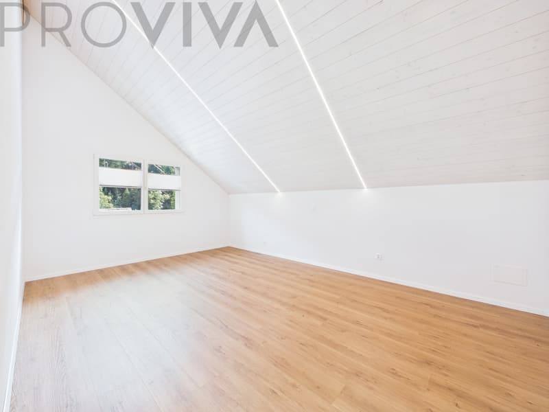 Modernes neues Haus mit grosszügigem Aussenbereich und viel Platz (5)