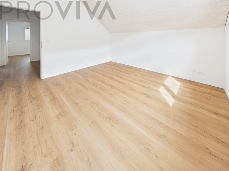 Modernes neues Haus mit grosszügigem Aussenbereich und viel Platz (6)