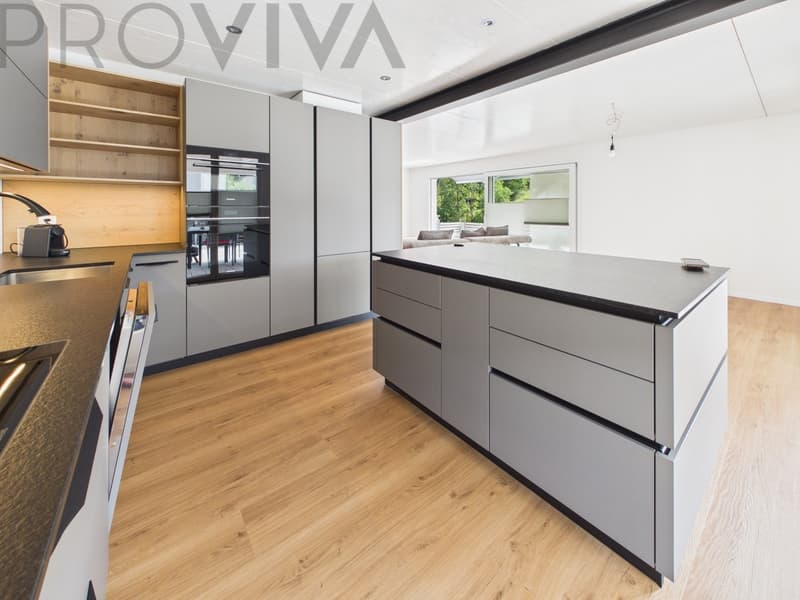 Modernes neues Haus mit grosszügigem Aussenbereich und viel Platz (3)