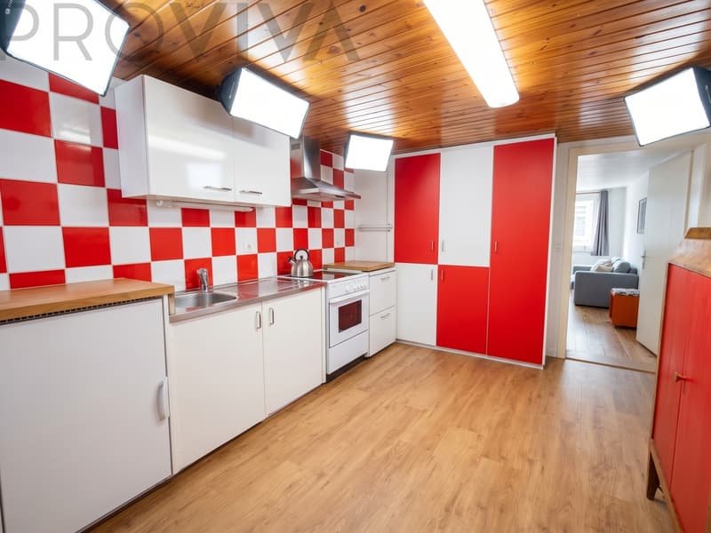 Küche mit Elektro- und Holzofen / Cuisine équipée d'un four électrique et d'un four à bois / Kitchen with an electric stove and a wood-burning stove / Cucina con fornelli elettrici e stufa a legn