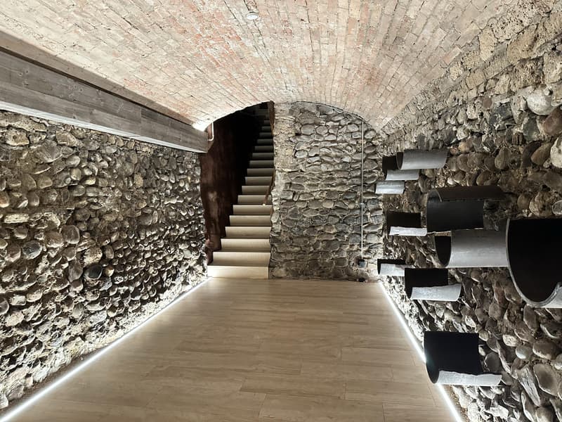 Attraktiver Showroom/Büro in bester Lage Altstadt Wil SG (6)