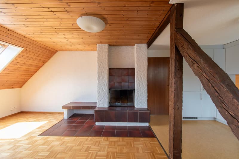 Appartement confortable de 3,5 pièces dans un quartier calme, près de l'hôpital (5)