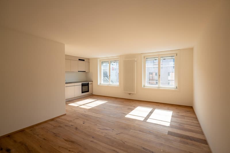 Appartement studio moderne avec charme de bâtiment ancien (2)