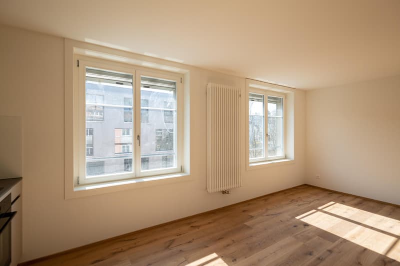 Appartement studio moderne avec charme de bâtiment ancien (7)