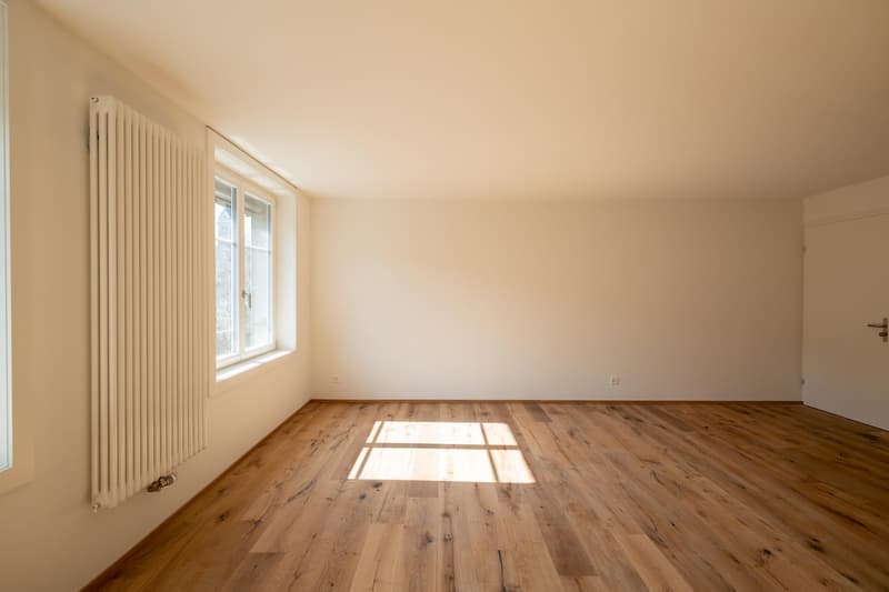 Appartement studio moderne avec charme de bâtiment ancien (8)