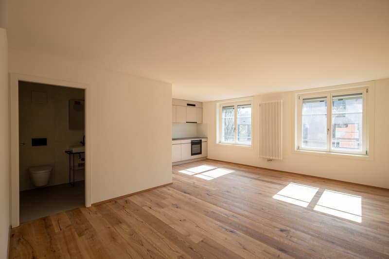 Appartement studio moderne avec charme de bâtiment ancien (11)