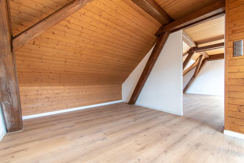 Appartement-maisonnette exceptionnel de 4 pièces en ville (7)